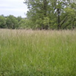 View album