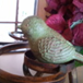View album
