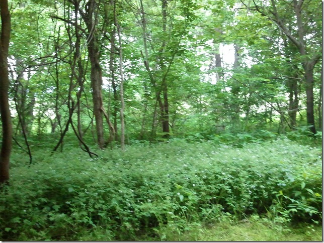 2011-05-20 14.04.09