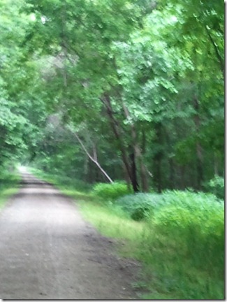 2011-05-20 14.04.13 - Copy
