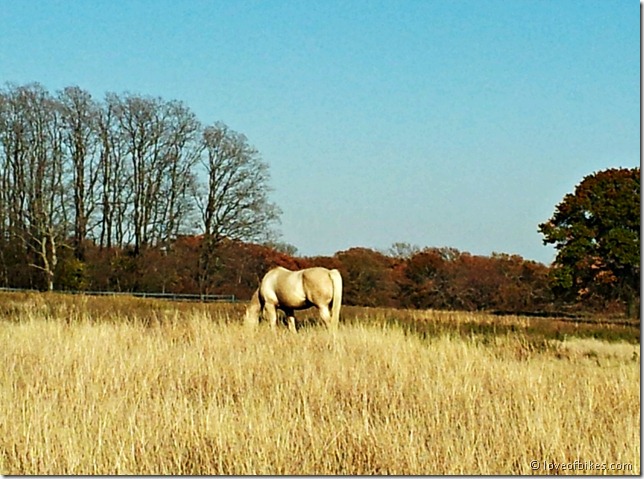 20121115_151625