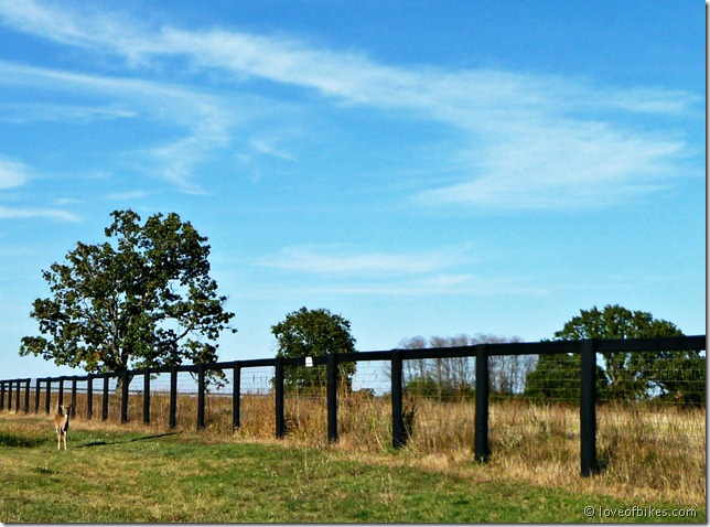 Day 302