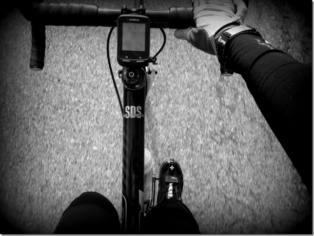 P1050917bw