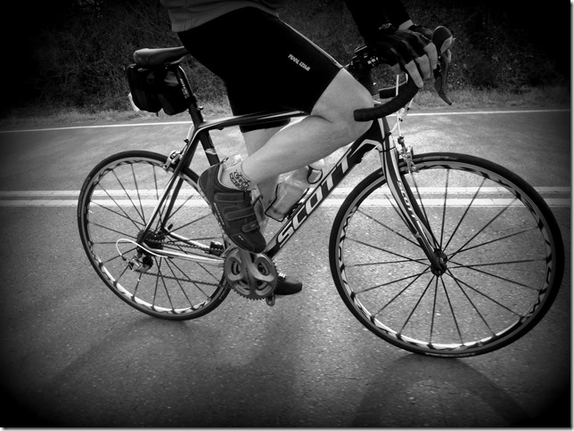 P1050945bw