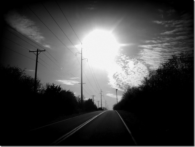 P1050969bw
